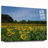 Acrylic print of a large abstract depiction of Raleigh, featuring muted blue and green tones.