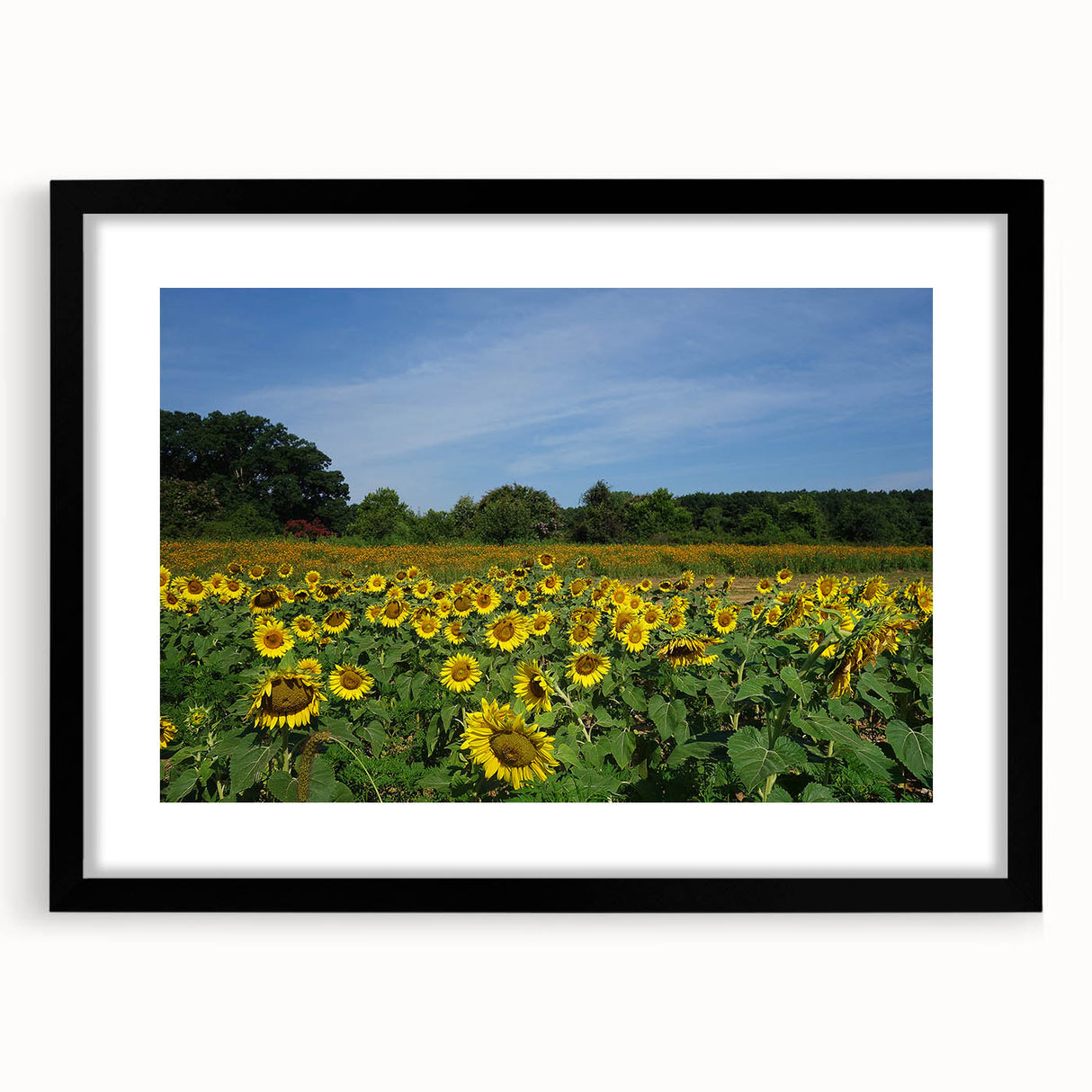 Abstract art print of Raleigh skyline in vibrant colors on a textured, extra large canvas, ideal for living room decor.