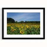 Abstract art print of Raleigh skyline in vibrant colors on a textured, extra large canvas, ideal for living room decor.