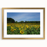 Extra large abstract art print of Raleigh skyline in textured gold frame, ideal for living room decor.