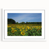 Abstract art print of Raleigh with vibrant blue and green hues on a white framed canvas, ideal for dining room decor.