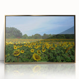 Acrylic print of Raleigh skyline in muted gold and blue tones on a framed canvas, suitable for modern art wall decor.