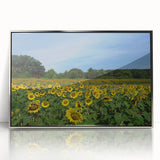 Mid-century modernist art of Raleigh skyline in silver framed acrylic, featuring muted pastel tones.