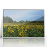 Framed acrylic print of a stylized Raleigh cityscape in art deco style, featuring pastel shades.