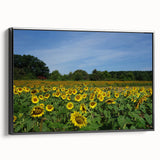 Black and white landscape art painting of Raleigh, North Carolina on framed canvas, suited for bedroom wall decor.