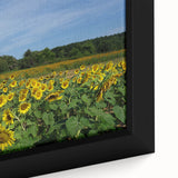 Framed canvas of Raleigh skyline in textured black and colorful art, ideal for extra large living room wall art.