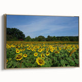 Framed canvas of a vintage-style Raleigh landscape painting in black and gold tones, suitable for bedroom decor.