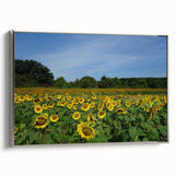 Framed canvas landscape art painting of Raleigh.