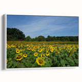 Vintage poster art of Raleigh skyline in colorful hues on extra large framed canvas, ideal for living room decor.