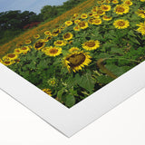 Art deco poster of Raleigh skyline in muted gold and blue tones on rolled canvas, suitable for dining room wall art.