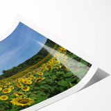 Extra large wall art featuring line art flowers in black and white, ideal for large living room decor.