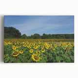 Black and white large canvas print of Raleigh skyline, ideal for kitchen wall art.