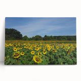 Black and white photo of Raleigh skyline on large stretched canvas, ideal for kitchen wall art.