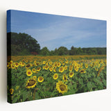 Raleigh, North Carolina cityscape on large stretched canvas, featuring vibrant twilight hues, ideal for kitchen wall art.