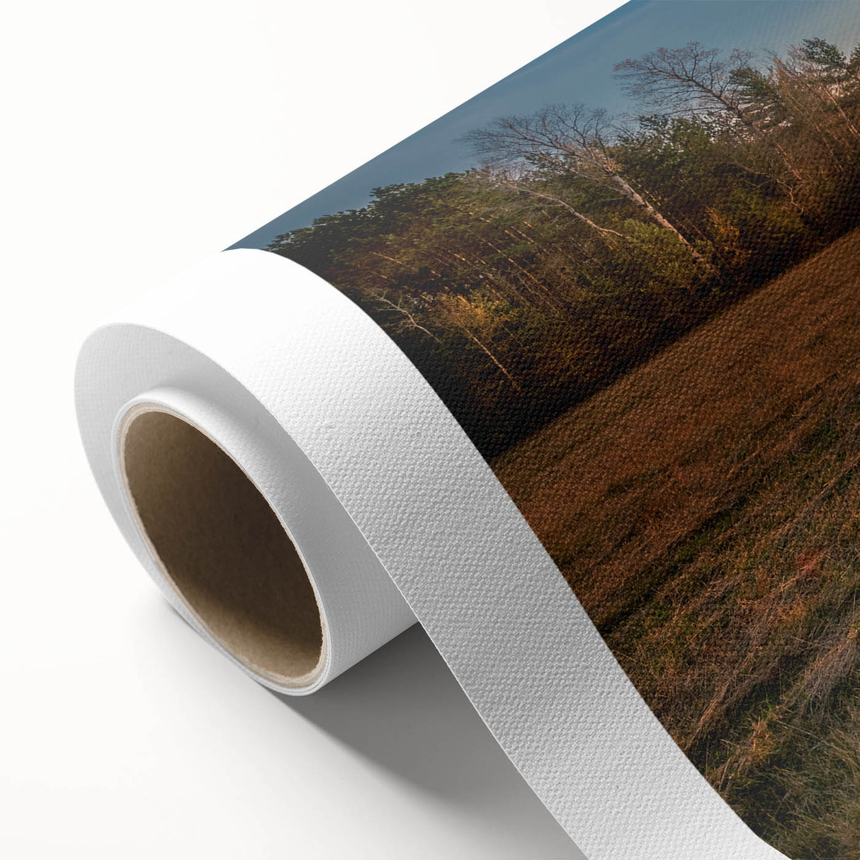 Art deco poster of Adirondacks scenery in pastel shades on rolled canvas, ideal for nursery wall art.