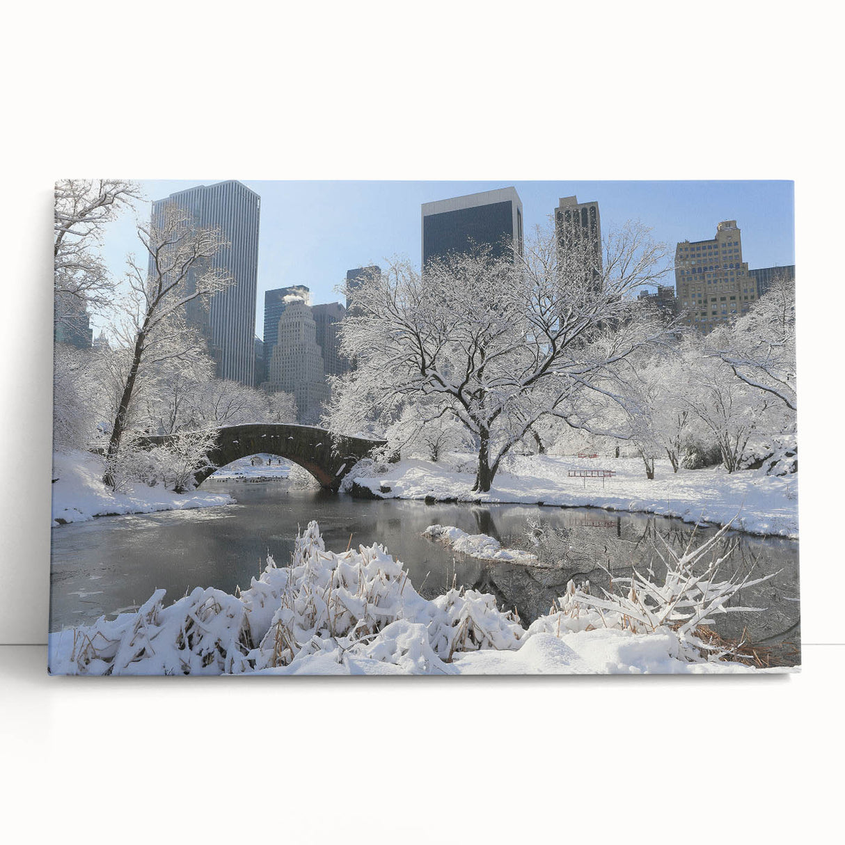 Black and white stretched canvas of Central Park, NYC, ideal for kitchen wall art or bedroom ambiance.