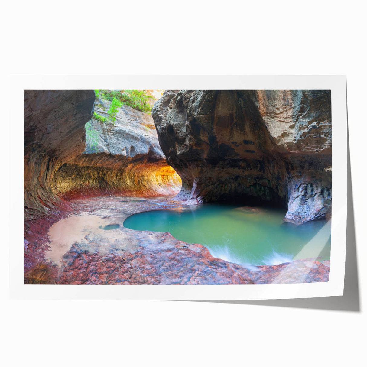 Extra large rolled print of Zion National Park scenery in natural hues, ideal for art wall dining room.