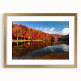 Abstract art print of Virginia scenery in muted green and blue tones, framed in gold, ideal for dining room decor.