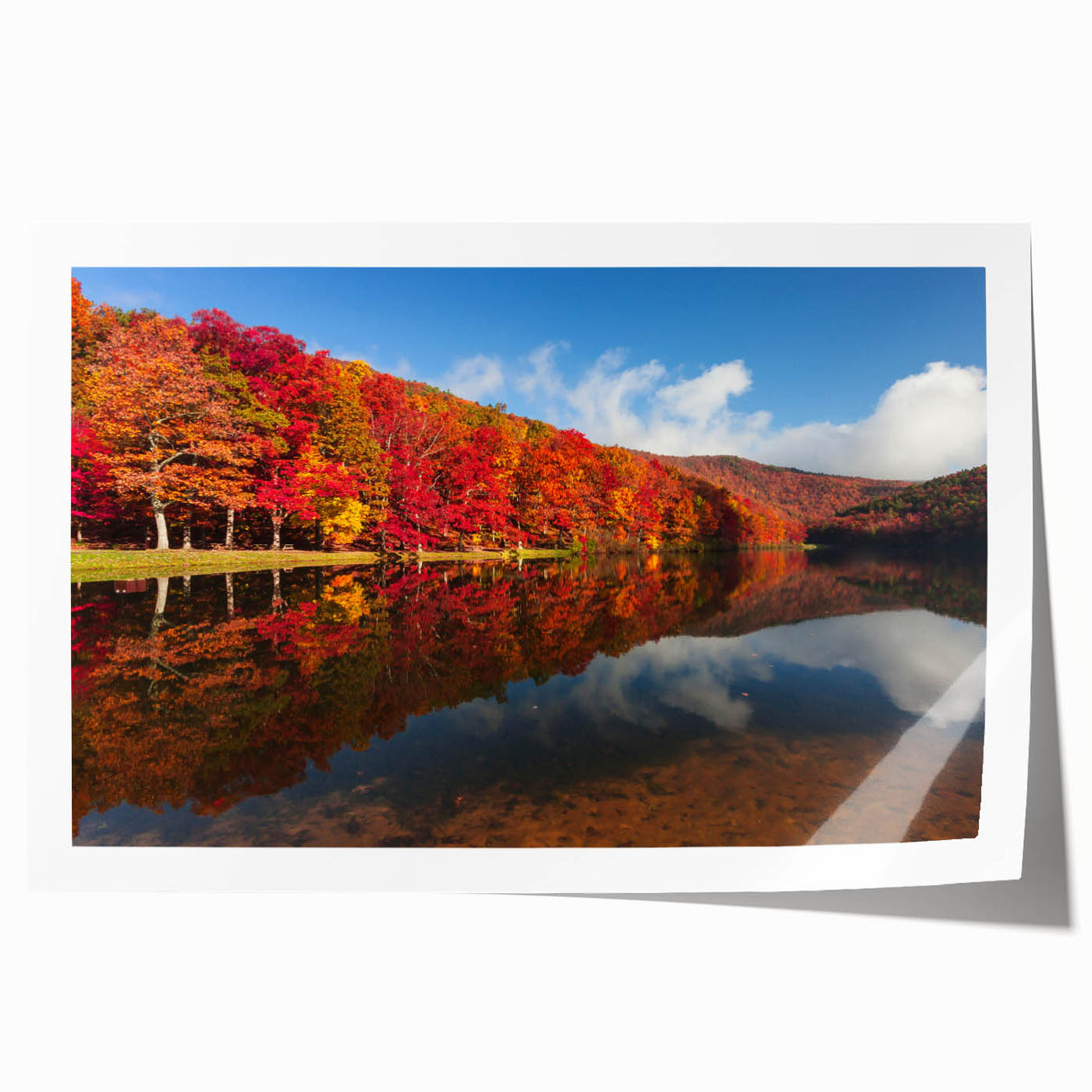 Rolled print of Virginia scenery with soft floral designs in pastel shades, ideal for art wall dining room decor.