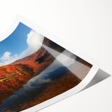 Extra large wall art featuring line art flowers in black and white, ideal for large living room decor.