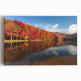 Black and white photograph of Virginia scenery on large stretched canvas, suitable as kitchen wall art.