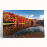 Black and white stretched canvas of Virginia scenery, ideal for kitchen wall art or bedroom ambiance.