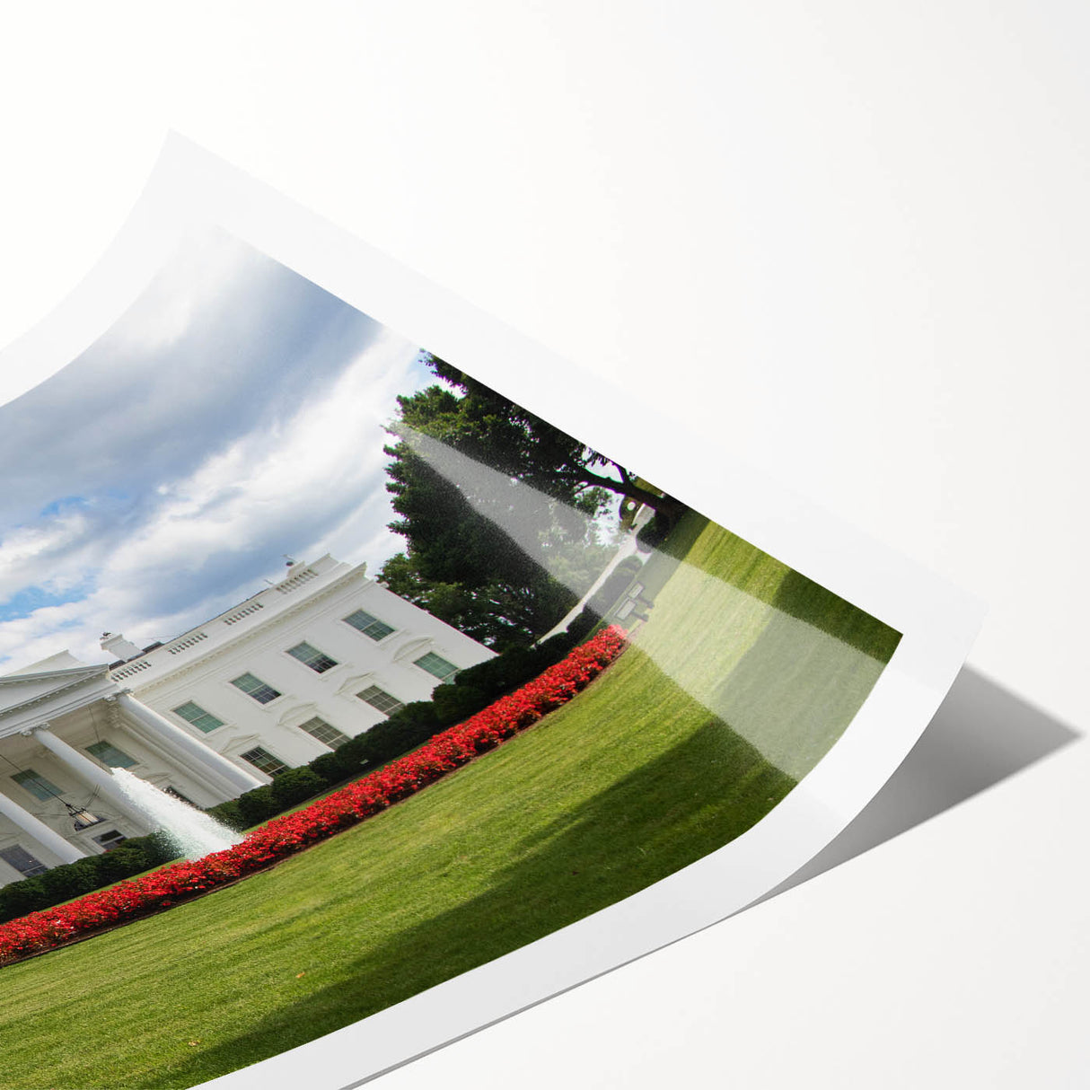 Rolled print of the White House surrounded by cherry blossoms in soft pink and white tones, ideal for art wall dining room.