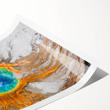 Extra large rolled print of line art flowers in muted earth tones, ideal for large living room wall art.