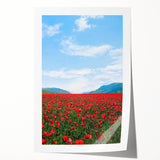 Rolled canvas print depicting vibrant spring floral art, suitable for dining room or bathroom decor.