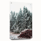 Large abstract wall art depicting a winter scene in muted blue and white tones on acrylic glass.