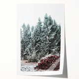 Rolled canvas print featuring a winter floral scene in muted blue and white tones.