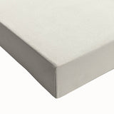 Romanticism Art: Black-Browed Albatross by Elizabeth Gould