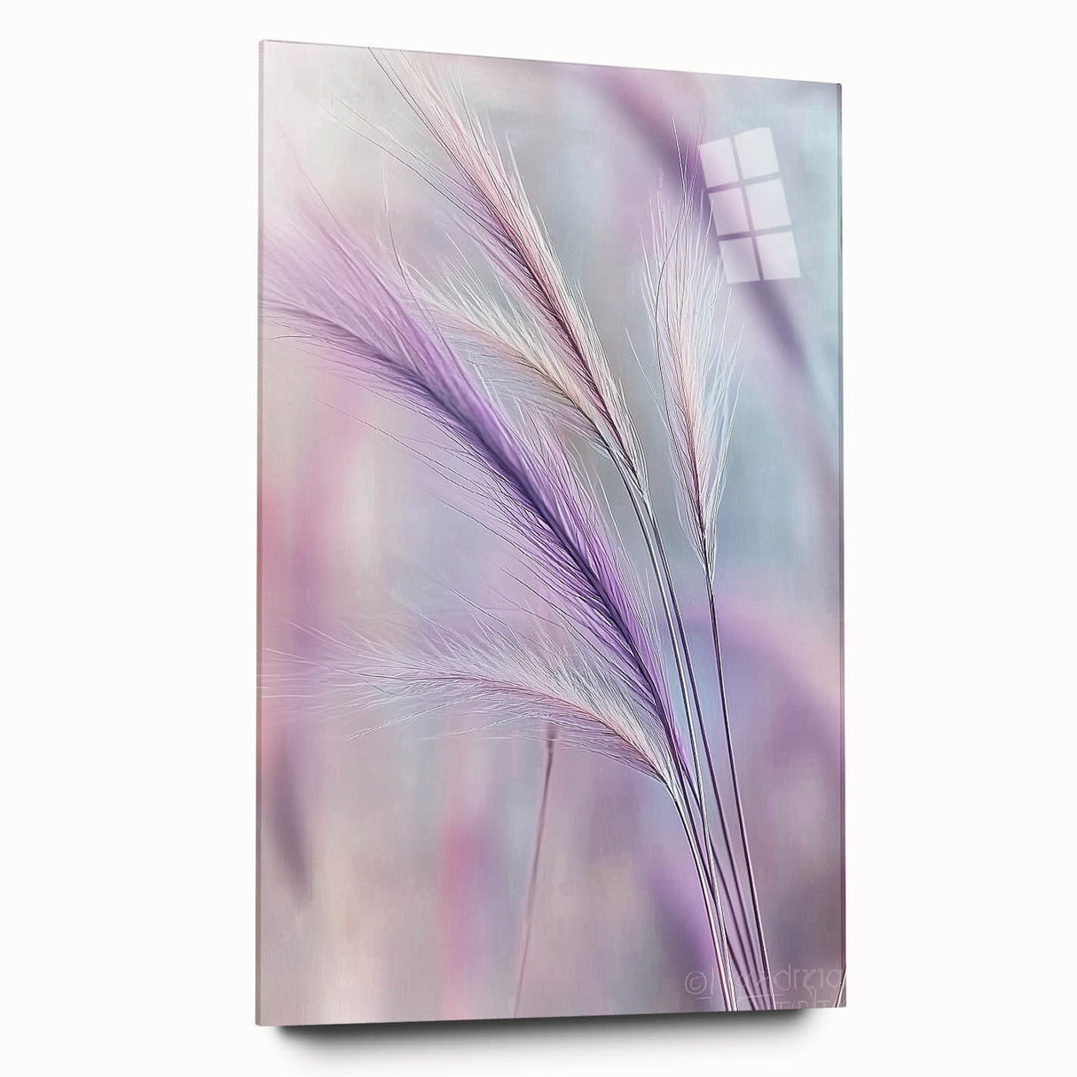 Floral and botanical acrylic glass print showcasing vibrant colors and intricate designs, displayed in a side view without pins, perfect for home decor.