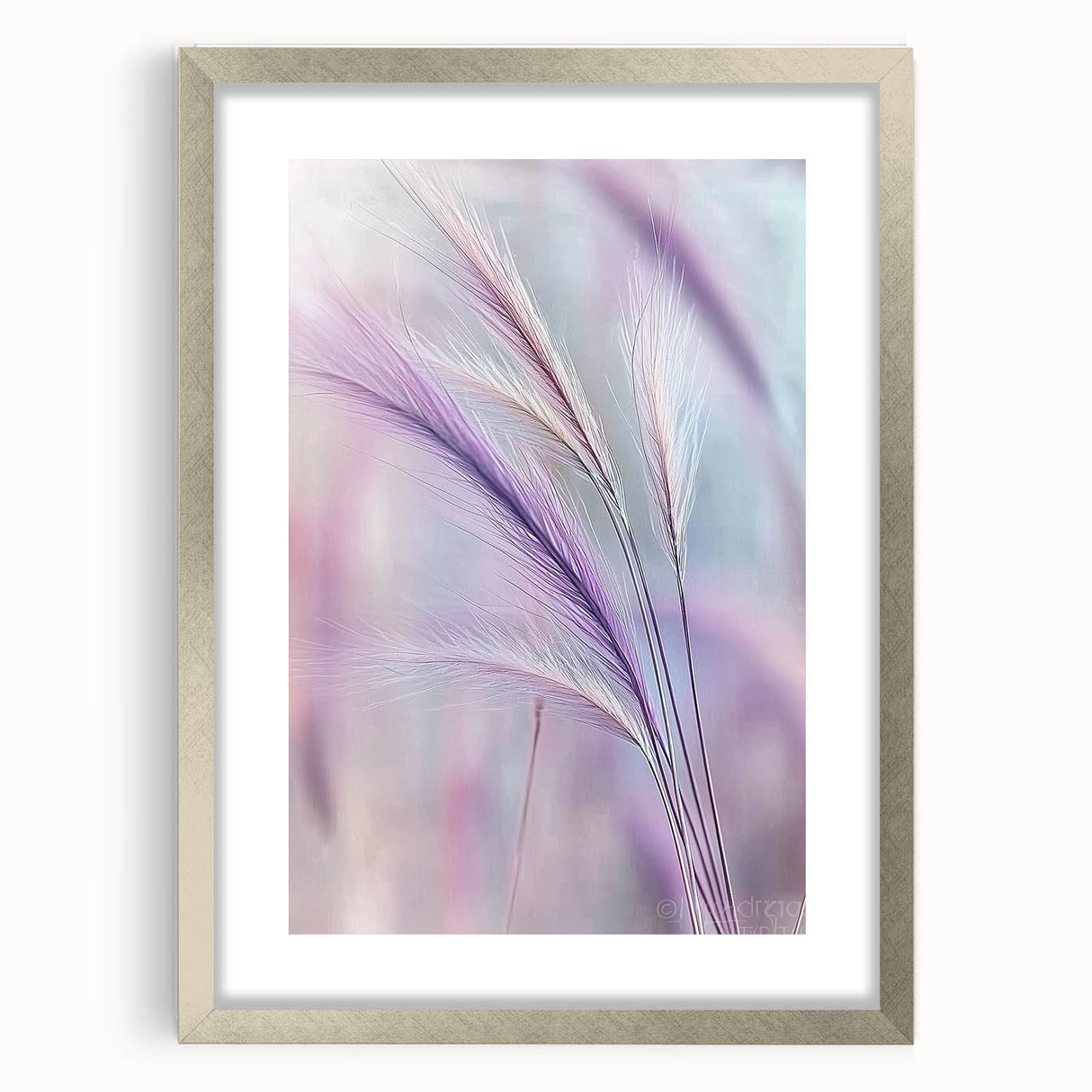 Floral and botanical frame in silver finish showcasing intricate designs, perfect for enhancing home decor. The mat adds depth, ideal for art displays.