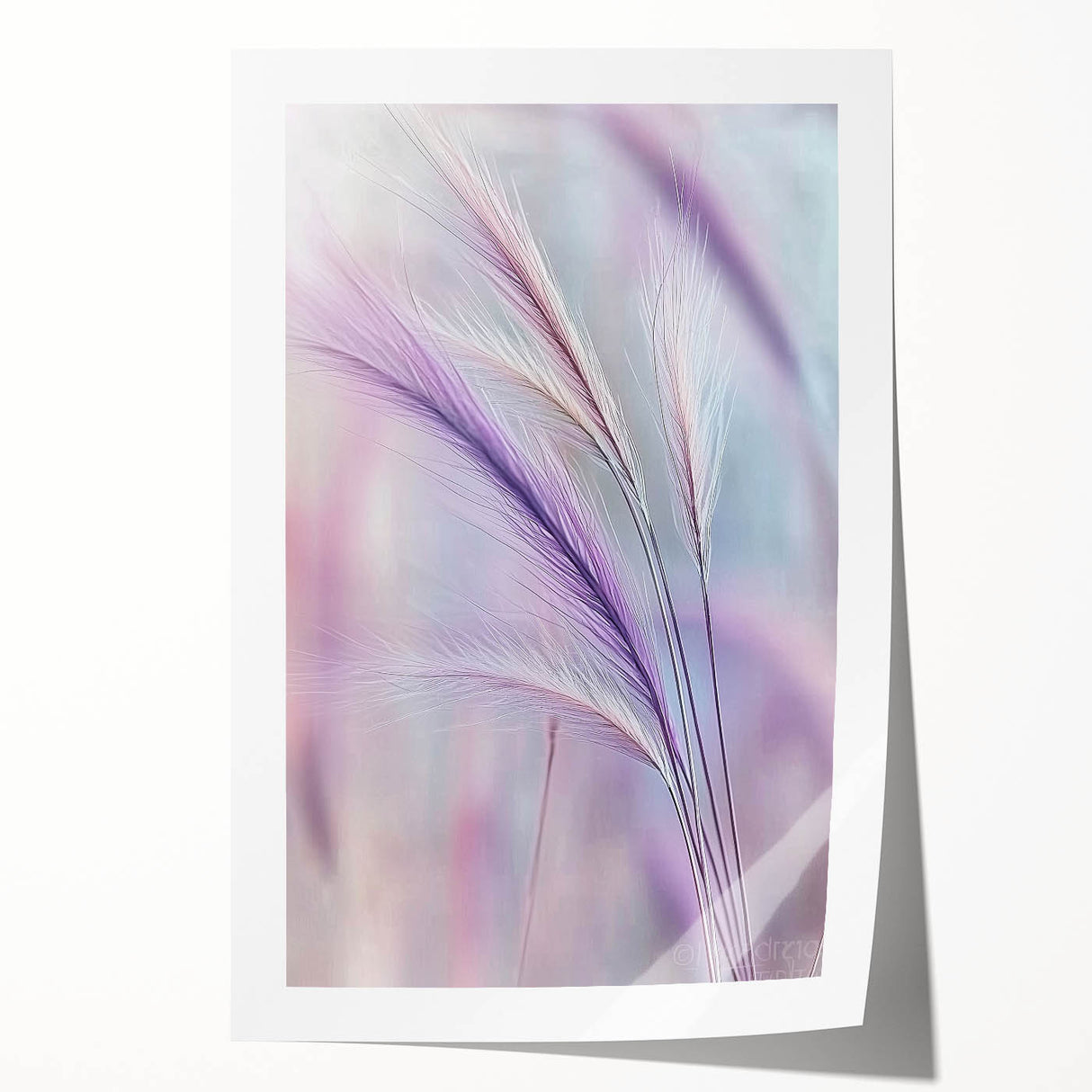 Floral and botanical rolled print showcasing vibrant, detailed flowers and leaves against a soft background, elegantly packaged in a protective cardboard tube for shipping.