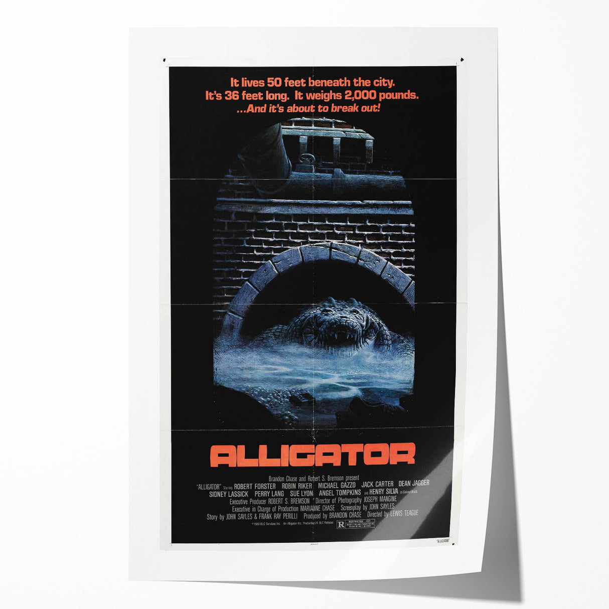 Retro Wall Art – Alligator 1980 Vintage Poster
