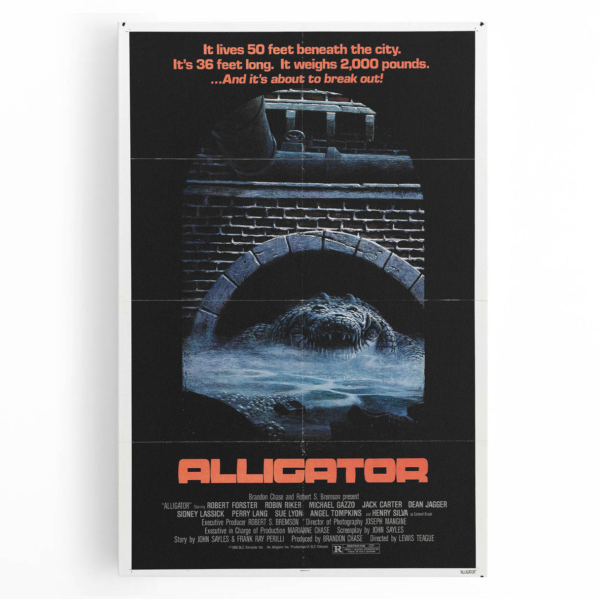 Retro Wall Art – Alligator 1980 Vintage Poster