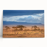 Black and white stretched canvas of African savannah scenery, ideal for kitchen wall art or bedroom ambiance.