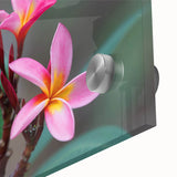 Large abstract wall art depicting a Madagascar scenery in vibrant earth tones on acrylic glass, ideal for dining room decor.