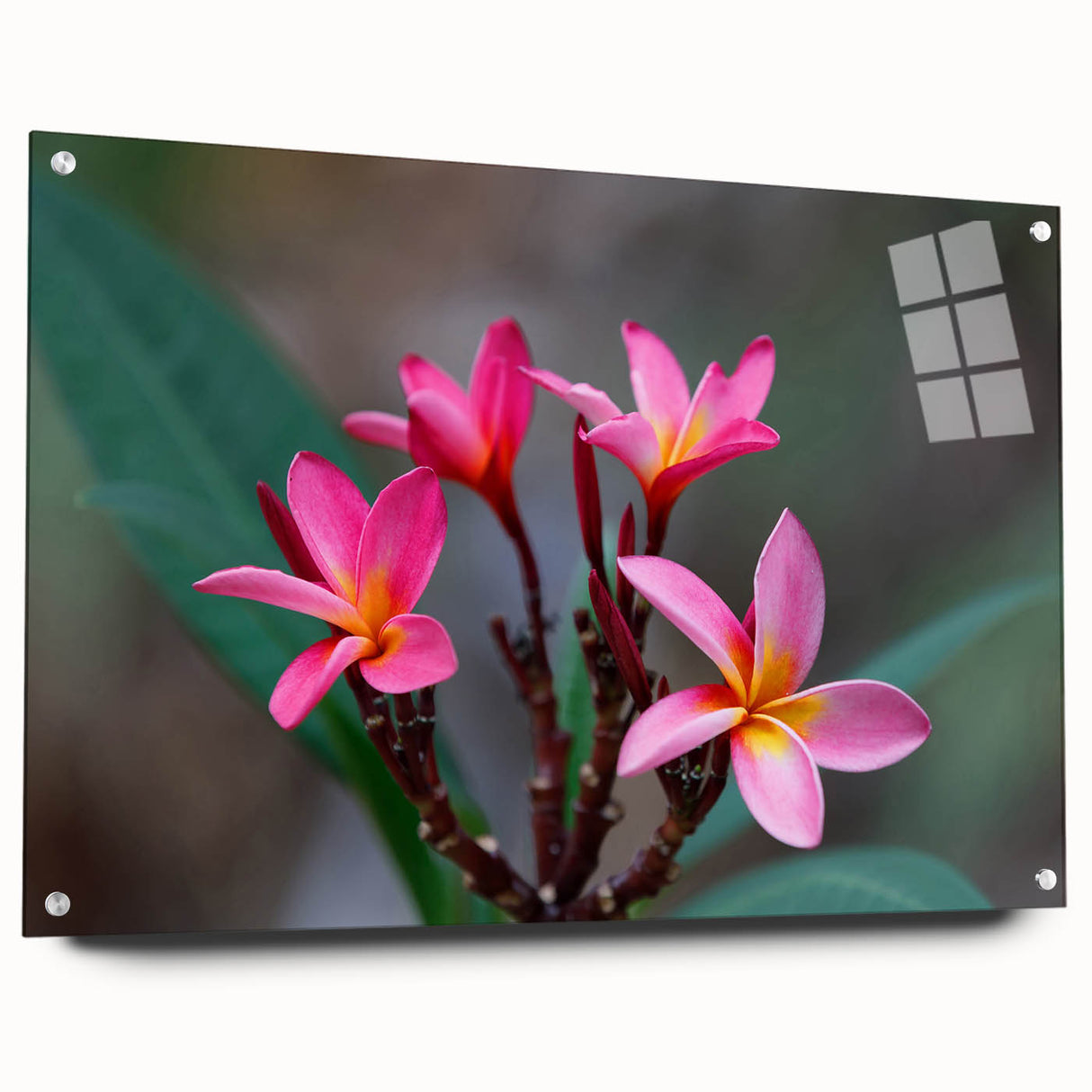 Large abstract wall art depicting the Madagascar scenery in vibrant earth tones on acrylic glass.