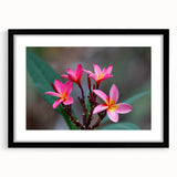 Extra large abstract art print depicting colorful, textured scenery of Madagascar on a black framed canvas.