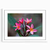 Extra large abstract art print of Madagascar scenery in textured style, framed with a white mat.