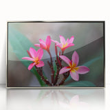 Art deco poster of Madagascar landscape in silver framed acrylic, ideal for modern nursery wall art.