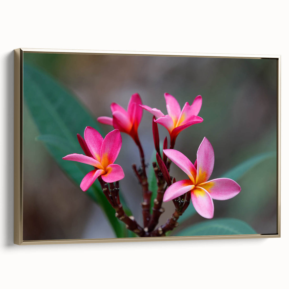 Framed canvas landscape art painting depicting a vintage-style Madagascar scenery in gold, black, and colorful tones.