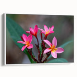 Framed canvas wall art featuring a vintage-style landscape painting of Madagascar with muted earth tones.