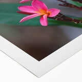 Art deco poster of a Madagascar landscape in muted earth tones on rolled canvas, suitable for dining room decor.