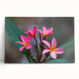 Large black and white photo of Madagascar scenery on stretched canvas, ideal for kitchen wall art or bedroom ambiance.