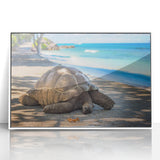 Mid-century modernist art depicting Seychelles scenery in muted pastel shades on a framed acrylic.