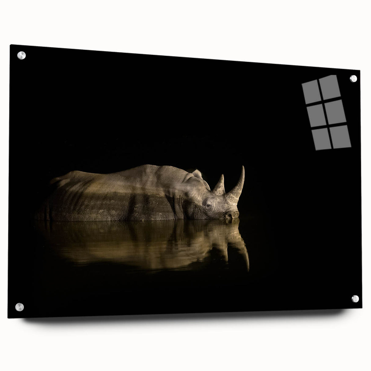 Large abstract wall art of an African landscape in muted earth tones on acrylic glass.
