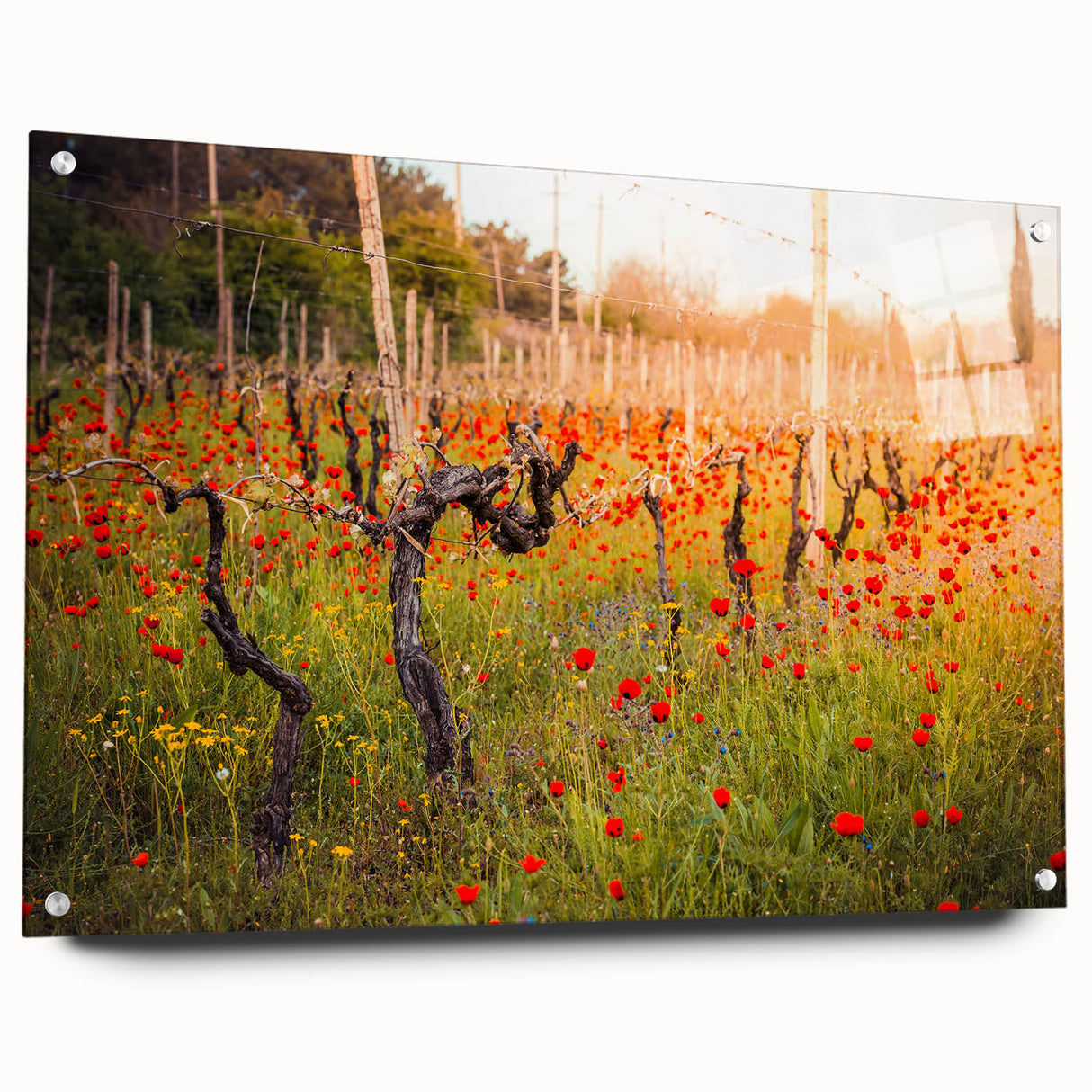 Large abstract wall art of Asian scenery on acrylic glass, with a palette of earth tones.